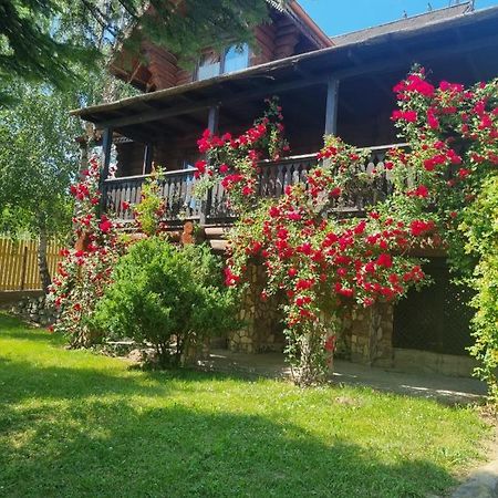 Cabana Haiducului Soveja Exterior foto